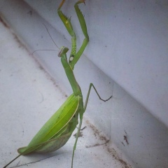Олег Вязовцев, 28.09.1968, Салават