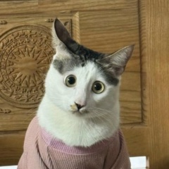 Илья Преображенский, Москва