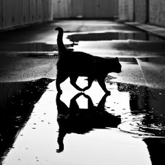 Макс Бец, 17.02.1986, Одесса