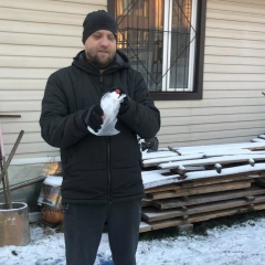 Максим Туринге, 20.04.1985, Москва