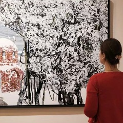 Анна Королева, Санкт-Петербург