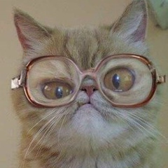 Skal Malay, 25.12.1995, Taunggyi