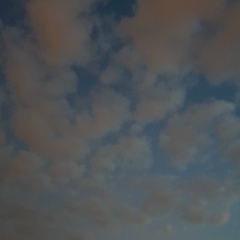 Алла Якиревич, 24.08, Санкт-Петербург