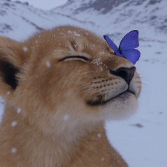 Мария Демченко Бычкова, 09.04.1994