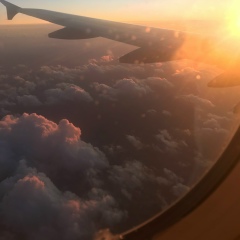 Alexei Ivanov, 19.05, London