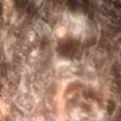 Moysés Ledger, 28.05.1994, Fortaleza