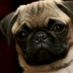 Маша Слета, 23.03, Харьков