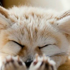 Светлана Добровольская, 29.04, Нефтеюганск