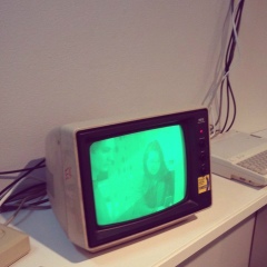 Akchorella Anvelotovna, 01.06.1991