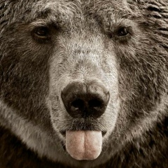 Михаил Яновский, 30.08, Санкт-Петербург