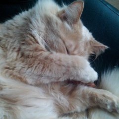 Александр Семенюк, 17.08.1982, Волгоград