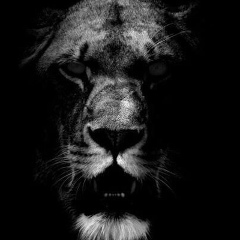 Nartai Azbergenov, 07.08, Атырау