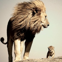 Віктор Кабан, 02.08, Киев