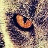 Олег Ван-Дер-Беллен, 14.07.1978, Тарту