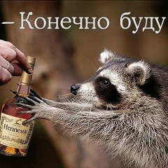 Андрей Енотов, 06.04.1987, Гродно