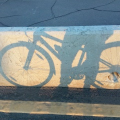 Rinat Latypov, 28.04.1984, Казань