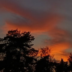 Юлия Орлова, 28.08, Санкт-Петербург