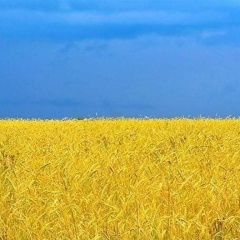 Наталия Артеменко, 31.12, Беляевка