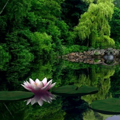 Инна Церегородцева, 24.07, Санкт-Петербург