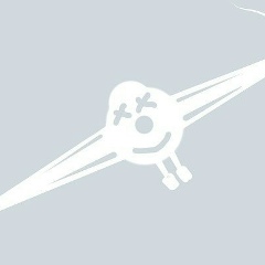 Mr Shovkoplyas, Manchester