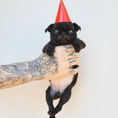 Dina Pankova, 24.12, Новосибирск