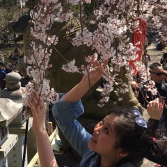 Victoria Hoang, 03.10, Montreux