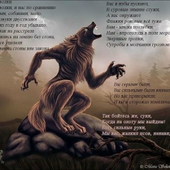 Вера Котова, 15.07.1995, Владивосток