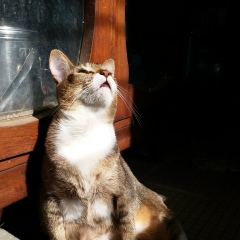 Thiri Lwin, 27.10.1989