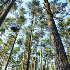 Светлана Давыдова, 31.01, Жанаозен