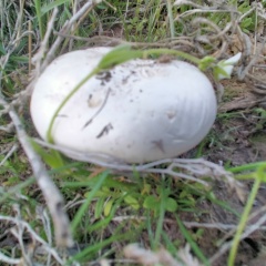 Вячеслав Гуров, 22.07.1984, Воронеж