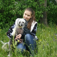 Рокси Китайская Хохлатая, 08.10.1996, Донецк