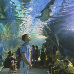 Сергей Форпост, 19.08, Владивосток