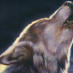 Николай Кухтинов, 31.05.2002