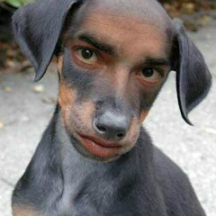 Шурмангер Шестаков, 23.06, Москва