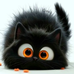 Анна Белая, 22.11.1987, Краснодар