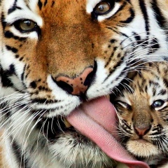 Алибек Нурбек, 03.05