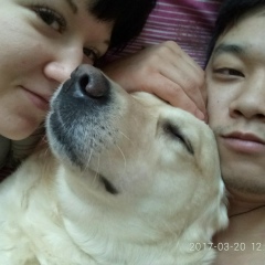 Радислав Ли, 08.11, Кривой Рог