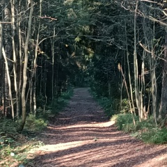 Владимир Урусов, 14.12, Санкт-Петербург