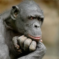 Дмитрий Бусев, 23.03.1974, Санкт-Петербург