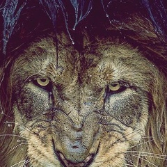 Алан Аланов, 21.05.2001, Нальчик