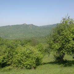 Шамиль Минкаилов, 18.06, Москва