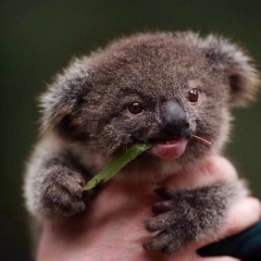 Андрей Смирнов, 19.01.1989, Санкт-Петербург