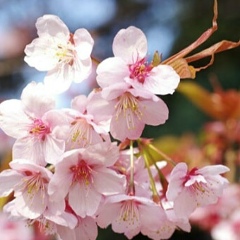 Лияна Киньягулова, 10.06, Уфа