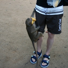 Паша Колотовкин, 17.05.1989, Москва