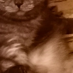 Ксения Малышева, 05.09.1981, Кулебаки