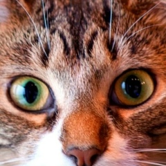 Михаил Петушков, 19.09, Тверь