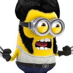 Shane Hoffman, 24.11.1997