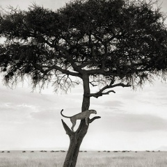 Александр Рухленков, 02.06.1986, Санкт-Петербург