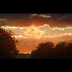 Didar Asyljanov, 13.05, Алматы