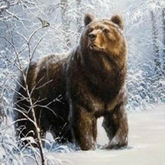 Алина Рахматуллина, 24.06, Омск